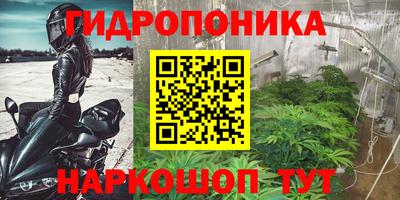 шишки Краснокаменск