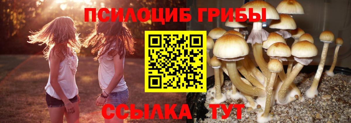 купить  сайты  Вход с VPN  Калач-на-Дону  Галлюциногенные грибы GOLDEN TEACHER 